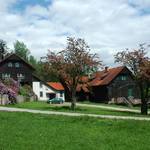 Chata ve Staré Oboře