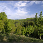 Pohled na Poněšickou oboru ze Staré Obory