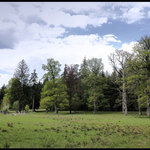 Stará Obora Zádušnice