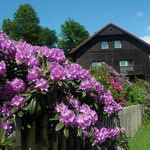 Stará Obora - chata